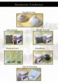 /album/imagenes/pagina-9-jpg/